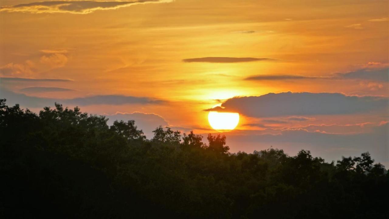 Sunset_Ridge Villa Luray Dış mekan fotoğraf