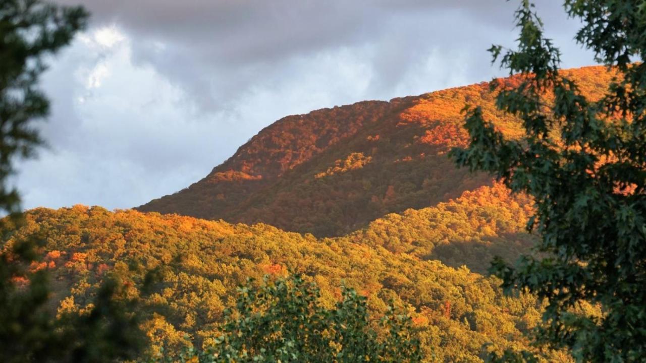 Sunset_Ridge Villa Luray Dış mekan fotoğraf